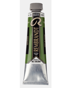 Rembrandt Artist 40 ml. S2 623 Sapgroen