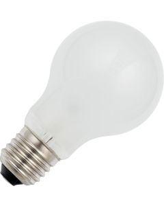 Reservelamp 250 watt Halogeen voor Prism episcoop 3200K