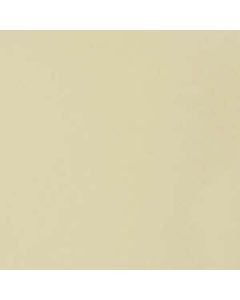 Liquitex Soft Body Parchment nr 436 S 1