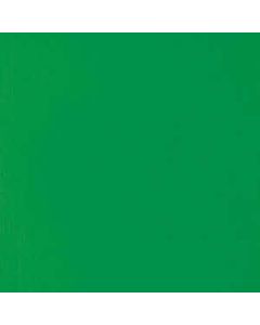 Liquitex Soft Body Fluorescent Green nr 985 S 2