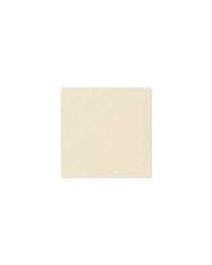 BOTZ Kwastglazuur 200ml. 9106 Transparent