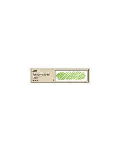 Kleurnaam: permanent green