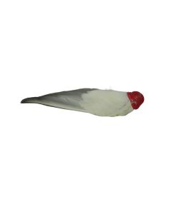 Eendewiek / Tekenwiek