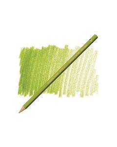 Caran d'ache Pablo 016 Khaki Green