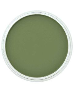 PanPastel Chromium Oxide Green Shade