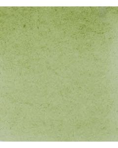 Schmincke Horadam 5ml. 516 Groene aarde S1