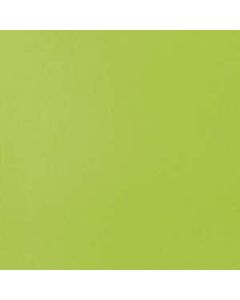 Liquitex Soft Body Brilliant Yellow Green nr 840 S 1