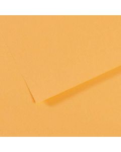 Mi-Teintes 50x65cm. 470 Champagne