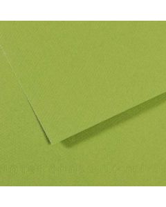 Mi-Teintes 50x65cm. 475 Groen