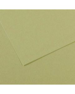 Mi-Teintes 50x65cm. 480 Lichtgroen