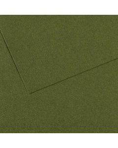 Mi-Teintes 50x65cm. 448 Donkergroen