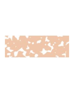 Rembrandt pastel lichtoranje 9