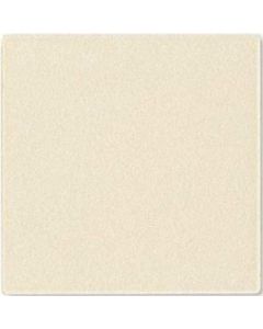 BOTZ Kwastglazuur 200ml. 9106 Transparent