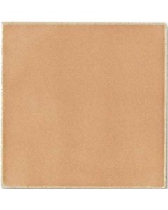 BOTZ Kwastglazuur 200ml. 9479 Hautfarbe