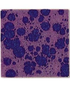 BOTZ Kwastglazuur 200ml. 9513 Anemone