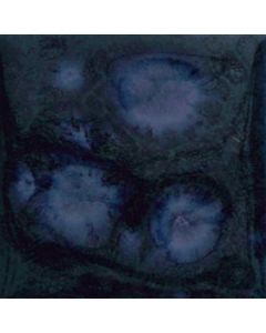 BOTZ Kwastglazuur 200ml. 9520 Wasserfall