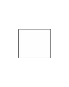 Conte a Paris pastel potlood 13 Wit