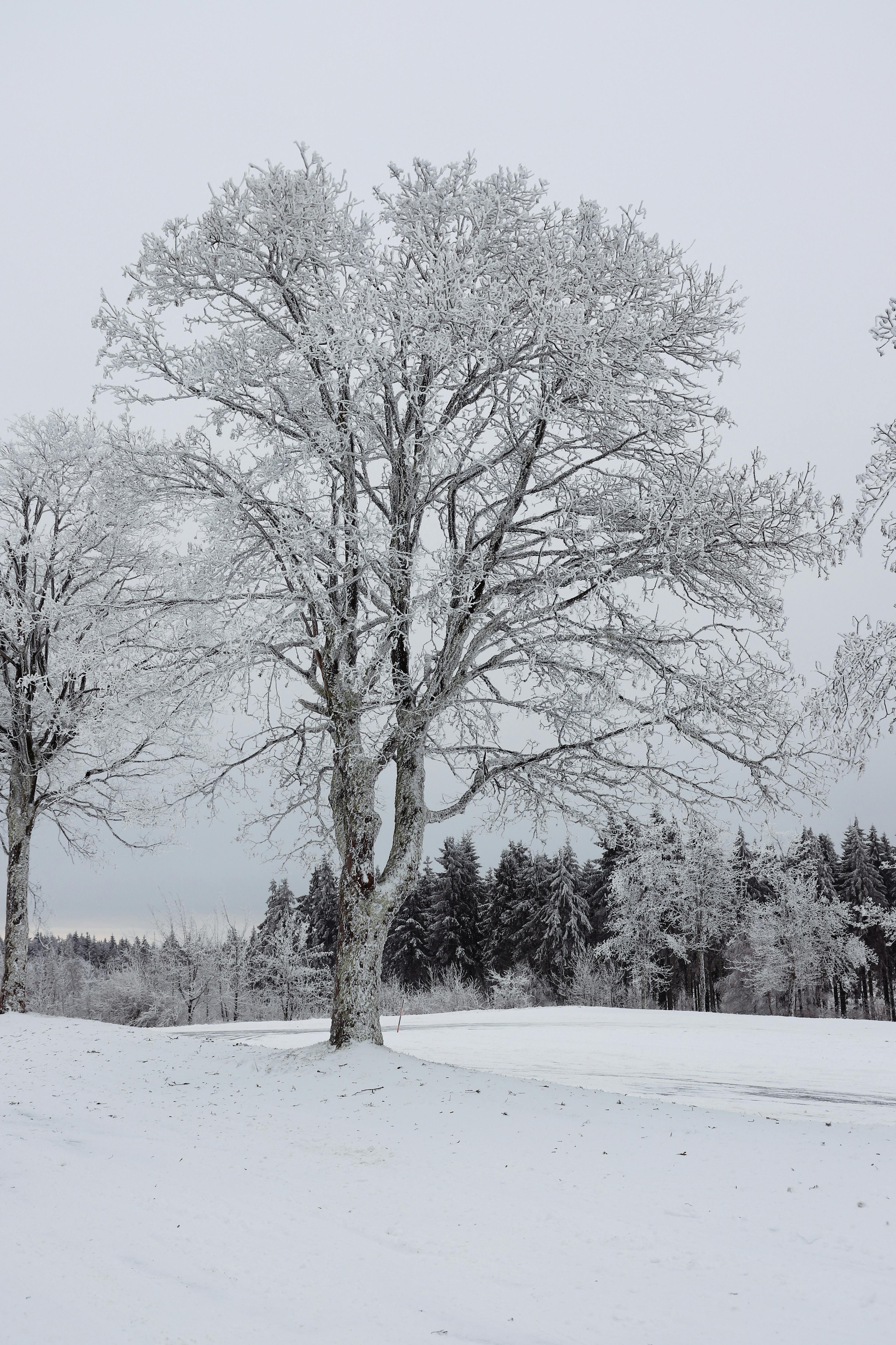 ❄️ Seizoensinspiratie: Winterkleuren & materialen